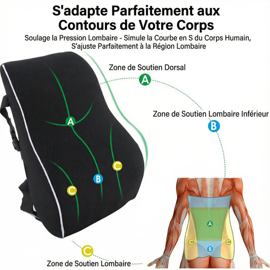 Image descriptive des zones de soutien du coussin mixte dos et lombaire