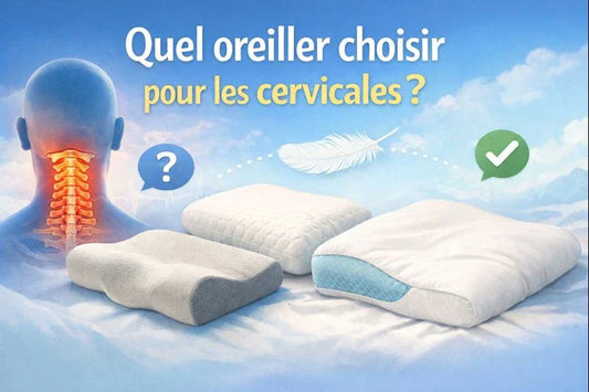 image de blog pour le choix d'un oreiller pour cervicales, plusieurs forme d'oreillers représentées
