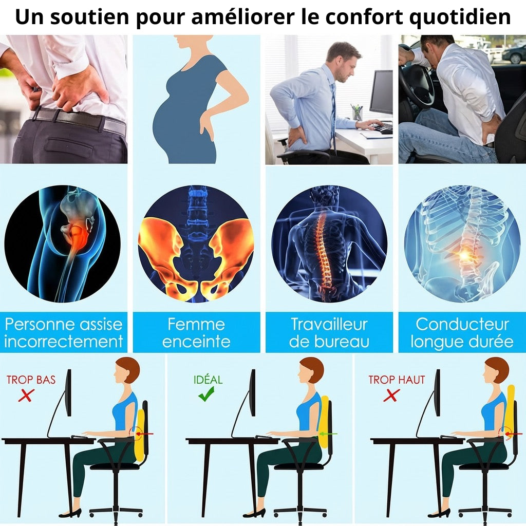 Image explicative des usages du coussin mixte dos et lombaire