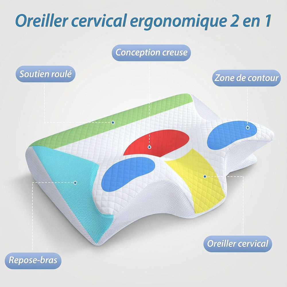 Image descriptive des zones de l'oreiller ergonomique cervical