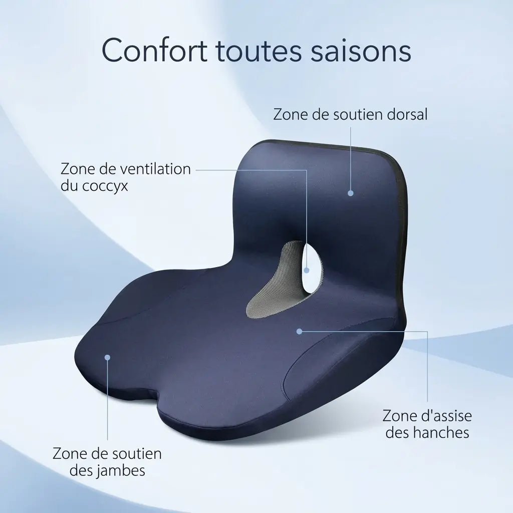 Schéma des zones de confort du coussin incluant la ventilation du coccyx, le soutien dorsal et l'assise des hanches.